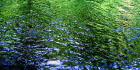 水
