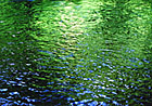 P006